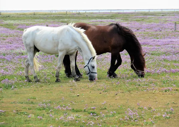 Apartamento Haus Dünenkate Meeresrauschen Juist